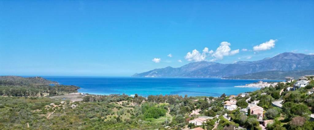 Studio, Vue Sur Mer Et Montagne Saint-Florent  Esterno foto