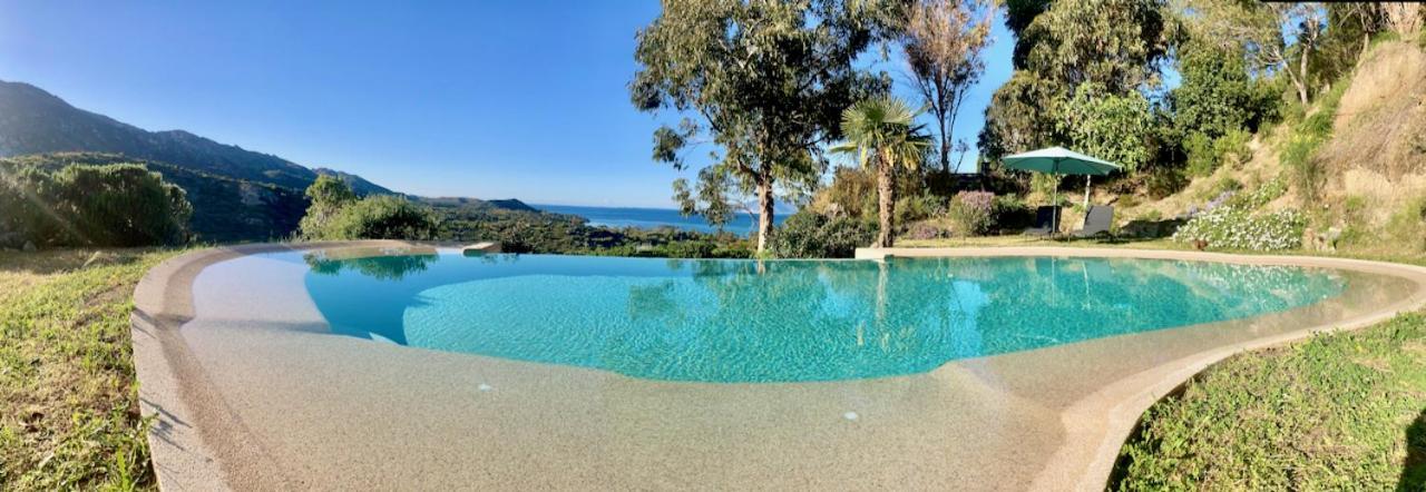 Studio, Vue Sur Mer Et Montagne Saint-Florent  Esterno foto